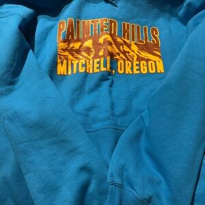 Gildan Heavy Blend Blue Hoodie